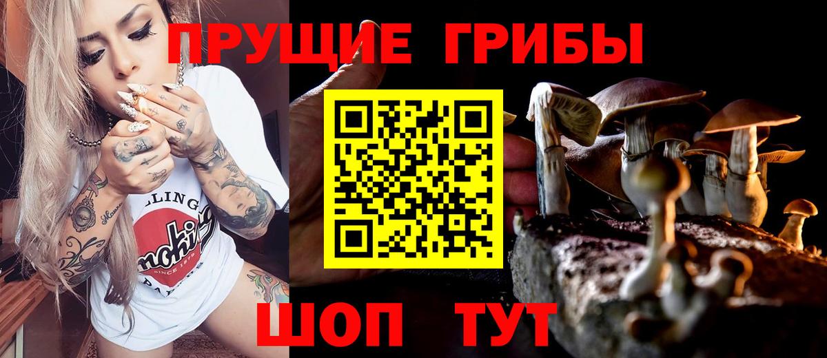 Строитель  Псилоцибиновые грибы ЛСД  Вход с VPN 